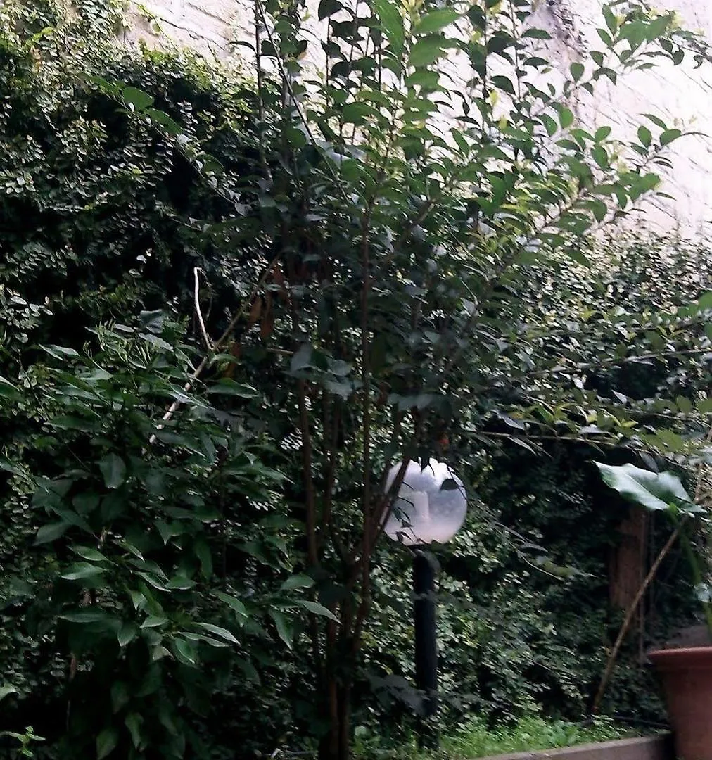 Hotel The Secret Garden Roma